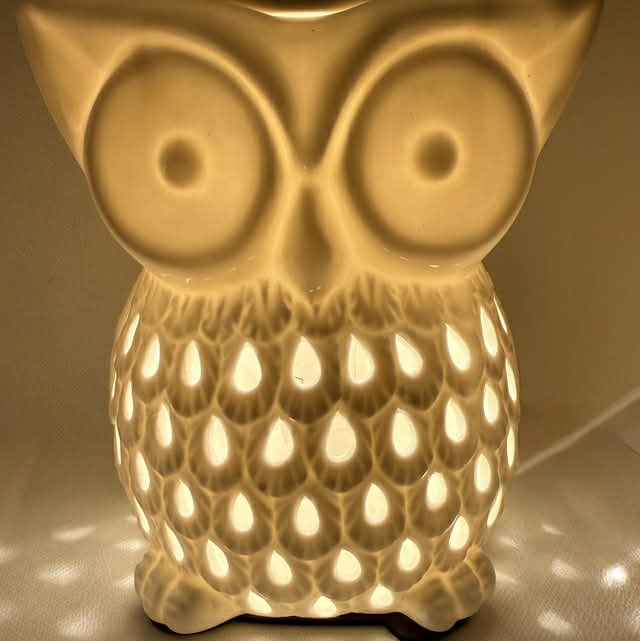 Owl Electric Wax Melt Burner
