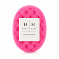 Soap Sponge