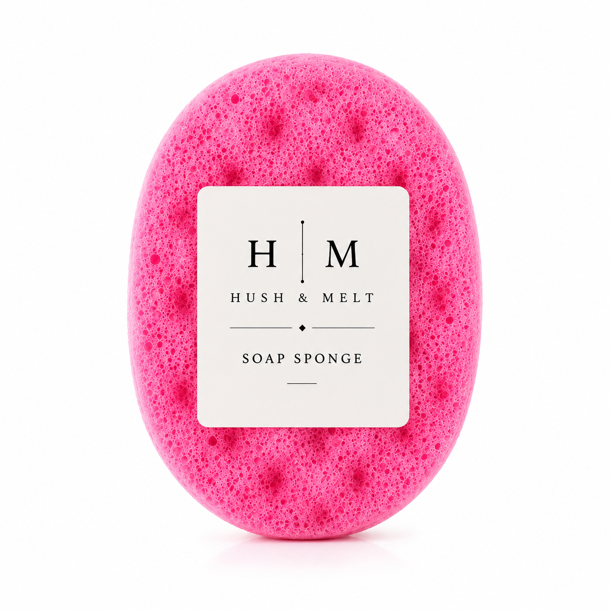 Soap Sponge